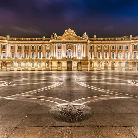 Daire *t2*vue Garonne*piscine*garage* Toulouse